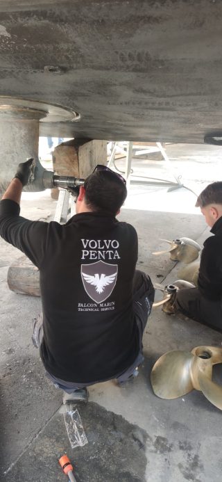 1713531533641 e1717778375620